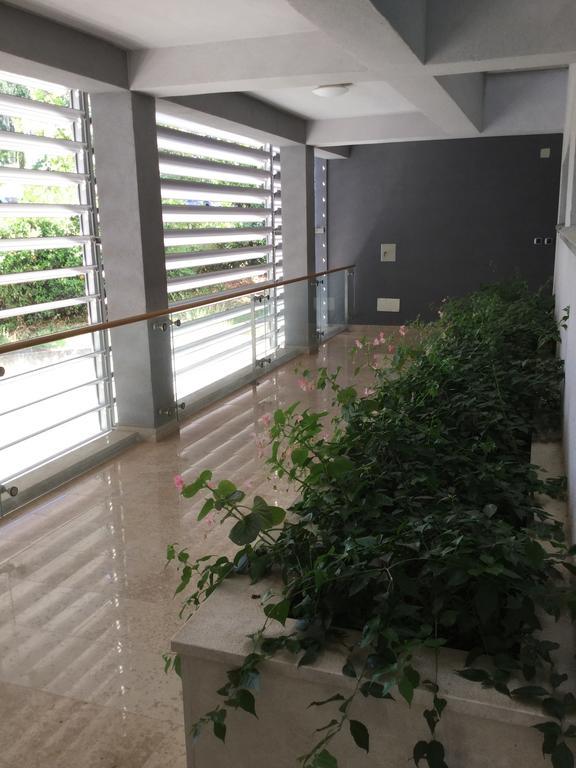 Alessia Apartments-Top Location And Garage Parking Rovinj Exteriör bild