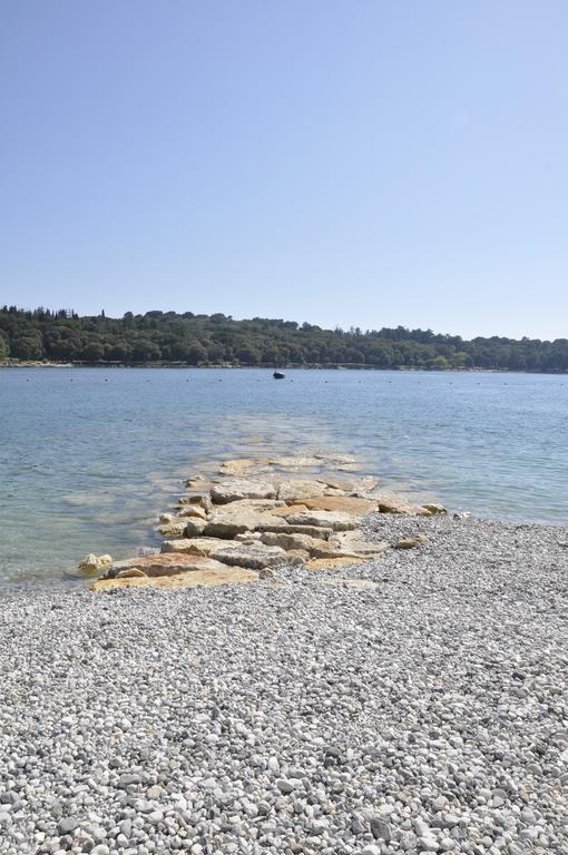 Alessia Apartments-Top Location And Garage Parking Rovinj Exteriör bild